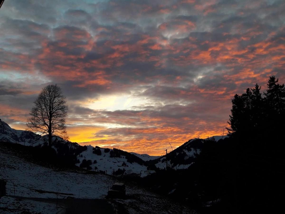 Ferien In Der Bergwelt Von Adelboden Exterior foto