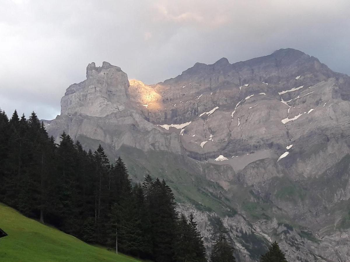 Ferien In Der Bergwelt Von Adelboden Exterior foto