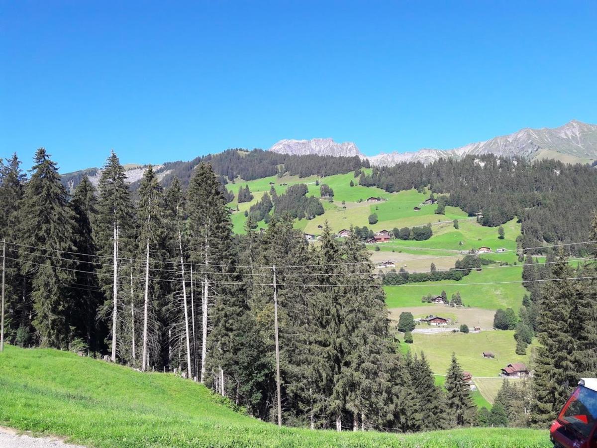 Ferien In Der Bergwelt Von Adelboden Exterior foto